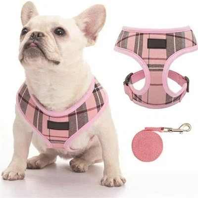 کوله پشتی توله سگ پت