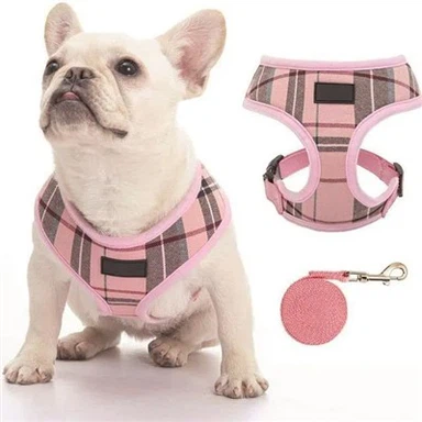 کوله پشتی توله سگ پت